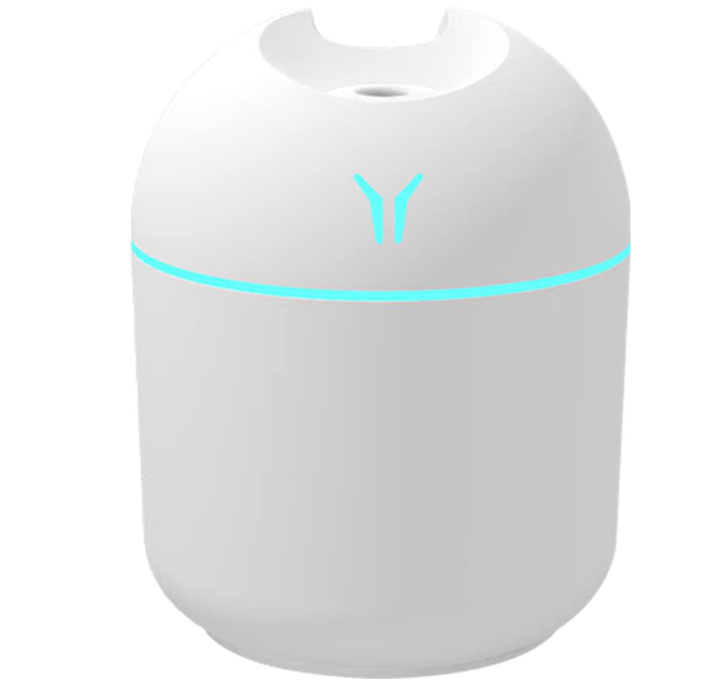 Portable Mini Humidifier Small Cool Mist Humidifier,250ML - White