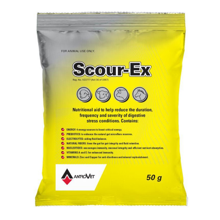 HLT SCOUR-EX 50G ANTROVET