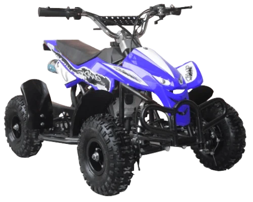 50CC 2 STROKE ECONOMIC AIR COOLED 3HP MINI QUAD - BLUE (4-10 YEARS)